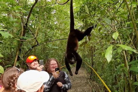 Private Tour Of Rio Celeste A Journey Through Rainforests Waterfalls