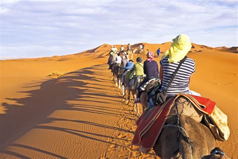 Paseo En Camello Por El Desierto Marruecos