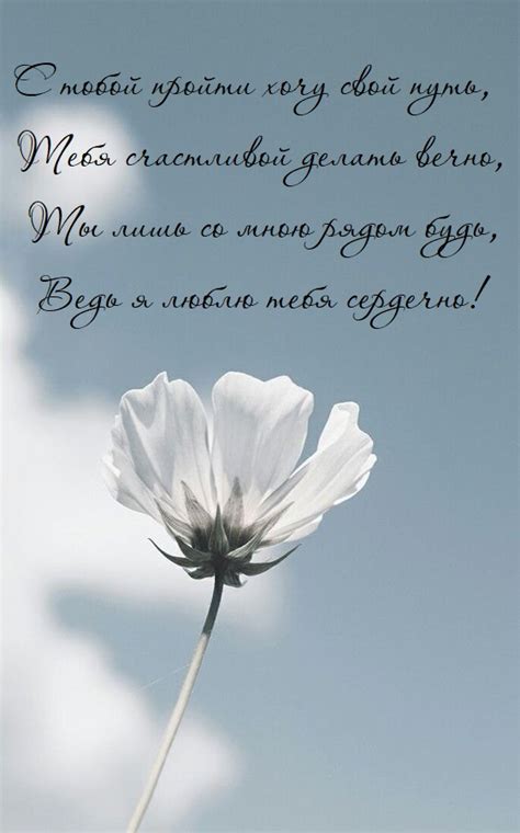 Красивые картинки - стихи любимой женщине (40 фото)
