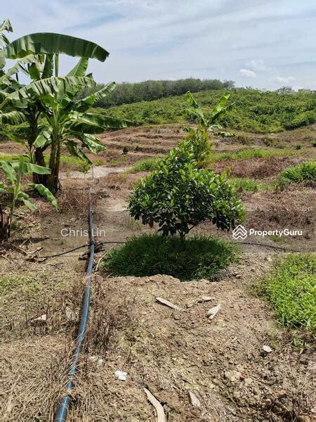 Malacca Durian Tunggal Land Freehold 6 9acres Agricultural Land Zone