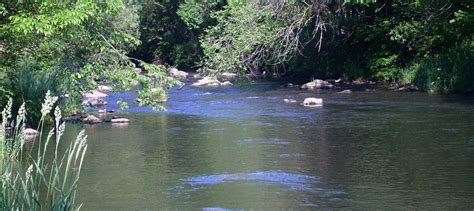 Fly Fishing On Spring Creek In Pennsylvania - The Perfect Fly Store