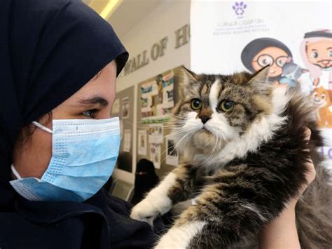 Careless Pet Owners Face Fines Up To Sr In Saudi Arabia News