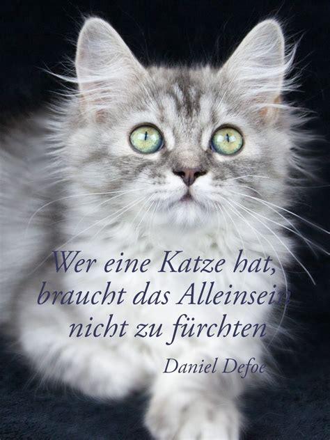 Für alle einsamen Herzen Katzen zitate Katzen lustige sprüche