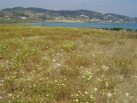 Despotico or Despotiko Island, Cyclades, Greece, pictures and ...