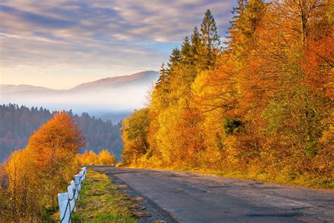 Country Road At Sunrise Just Wander More