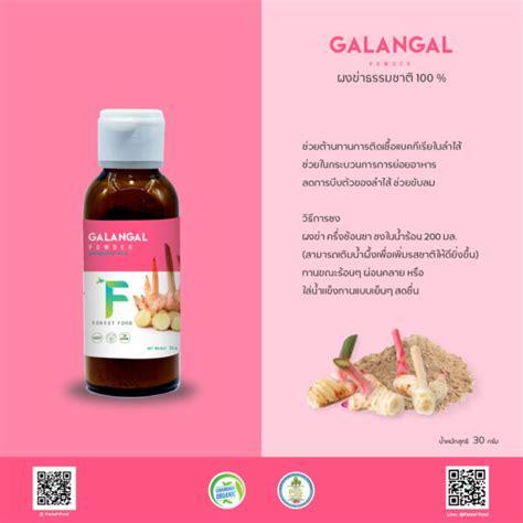 ผงข่า Galangal Powder Thai Forest Food