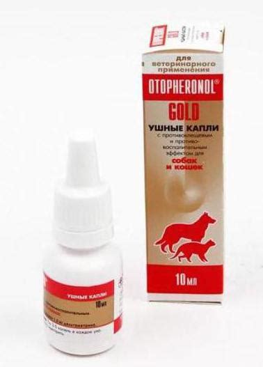Ушные капли "Отоферонол Голд": инструкция по применению, отзывы :: SYL.ru
