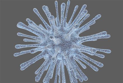 Лекарственные смеси против мультирезистентных бактерий : YY ...