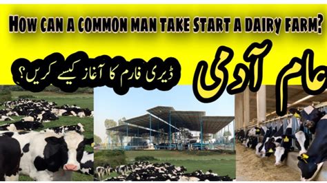 How Can A Common Man Take Start A Dairy Farm Dairy Farm Farming In