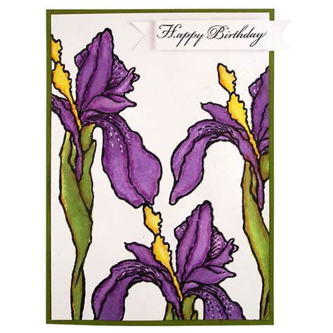 suzanne czosek cling jumbo iris spectacular coloring combi flickr