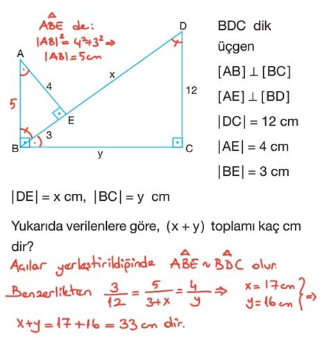 Genlerde Benzerlik Sorular Z Mleri