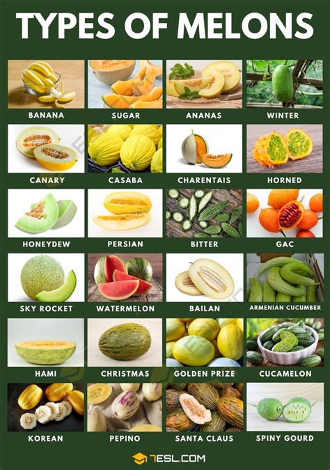 Different Types of Melons in English • 7ESL | Fruits and vegetables ...