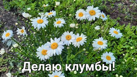 Делаю клумбы! - YouTube