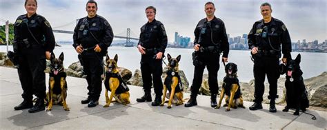K 9 Unit San Francisco Police Department