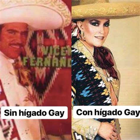 Los memes del hígado gay que rechazó Vicente Fernández Infobae