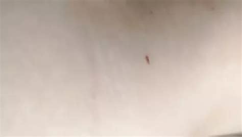 Niksa Yeni Azeri Sex Amateur Amateur Porn Xhamster