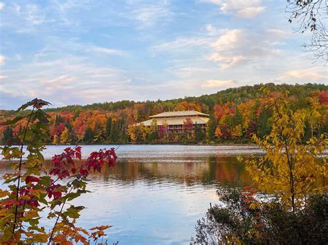 Home [www.artoflivingcanadacentre.org]