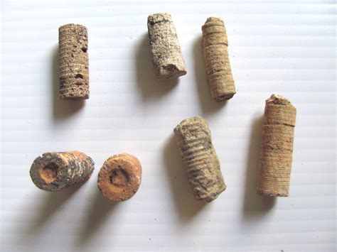 crinoid stems   mississippian period ajpg member collections