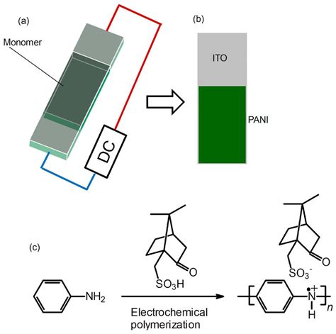 Scheme 1 Preparation Of PANI CSA A Electrochemical