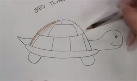 How to draw a turtle step by step | Easy drawing a turtle ...