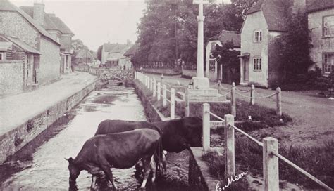 Between the wars | | East Meon History Archive