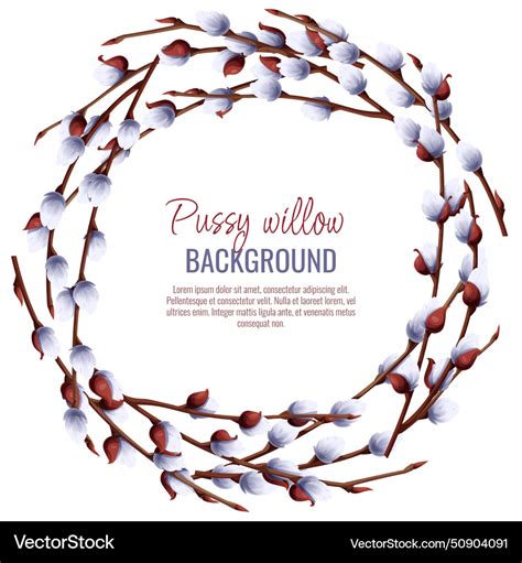 Spring Background With Pussy Willow Branches Vector Image