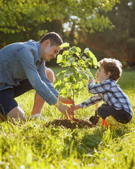 child welfare mediate bc