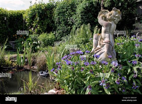 Wildlife Garden Pond Stock Photo Alamy