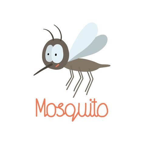 mosquito poster stock  pictures royalty  images istock
