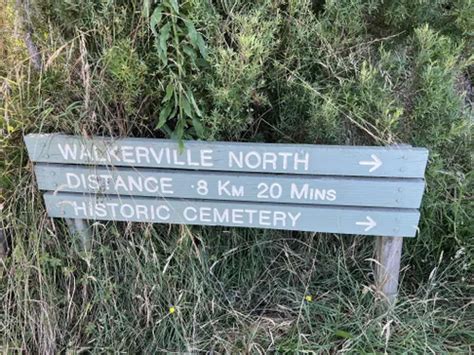 Best Hikes And Trails In Walkerville South Alltrails