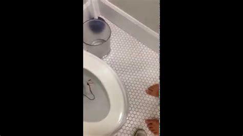 The Horrible Death Of Nemo (part 1) - YouTube