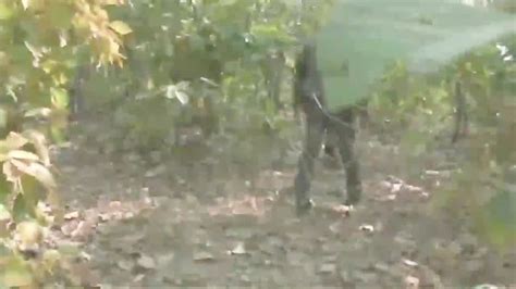 Jungle Me Mangal Ko Stranger Ne Porn Hotntubes