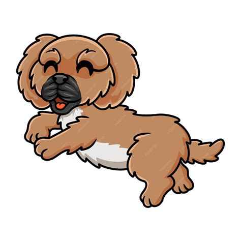 Imagens De Cachorrinho Fofo - 9