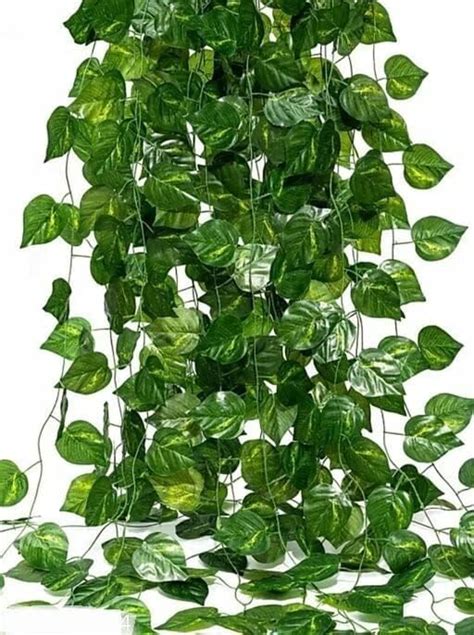 Buy Oe Artificial Money Plant Creepers With Green Leaves For Wall