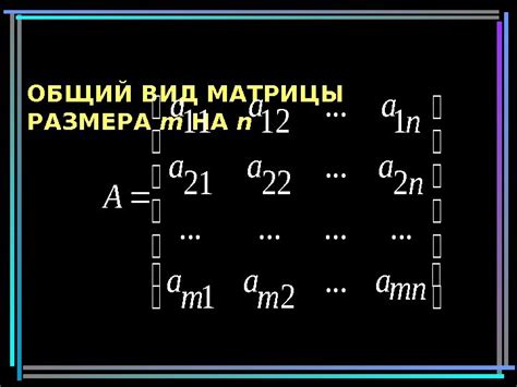 1 МАТРИЦЫ И