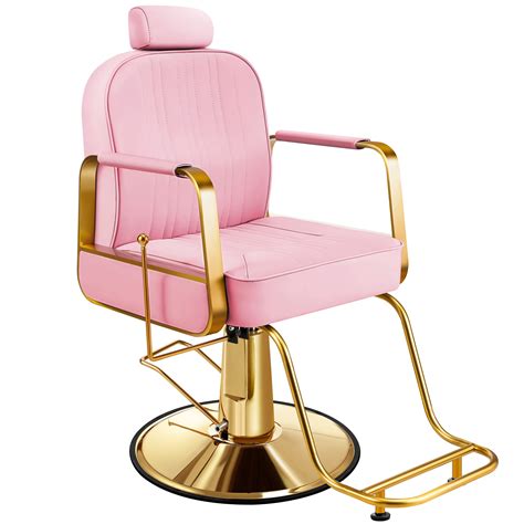 Buy Baasha Premium Reclining Salon Chair All Purpose Hair Chair With