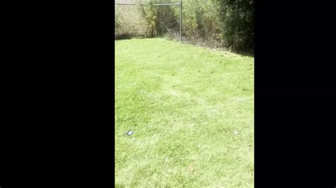 Free Gay Porn Videos Trending Porno Movies Gay XXX Videos Tube 4 XHamster