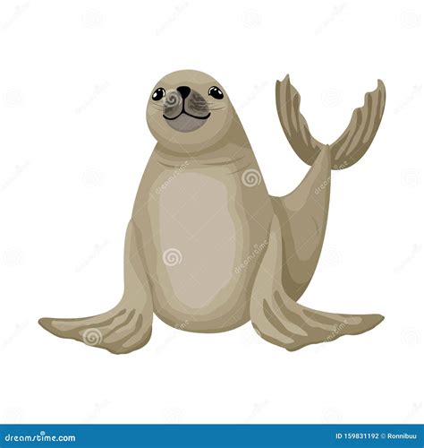 Cheerful Little Fur Seal. Vector Isolated Animal Character on White ...