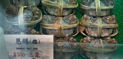 Eating Insects Makes Tasty Crabs Tastier | Hakai Magazine