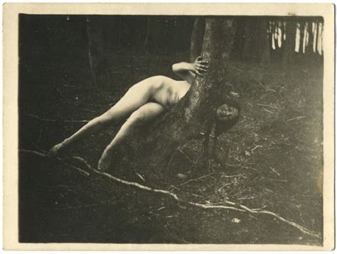 Sloth Unleashed Via Anonymous Works Nude Forest Frolicking