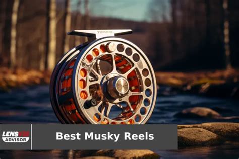 3 Best Musky Reels For 2023