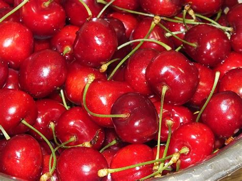 Cherry Close To Red Berries - Free photo on Pixabay - Pixabay