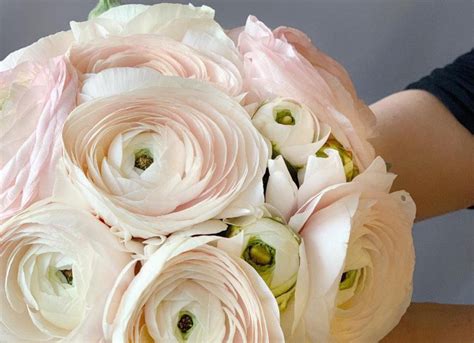 БУКЕТ из лютиков (ранункулюс)