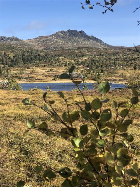 Más de 1 imágenes gratis de Ilta Ranta y Ranten - Pixabay