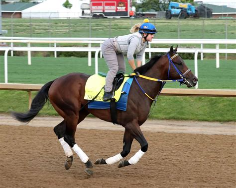 florida bred neoequos  easy gallop  churchill downs monday ftboa