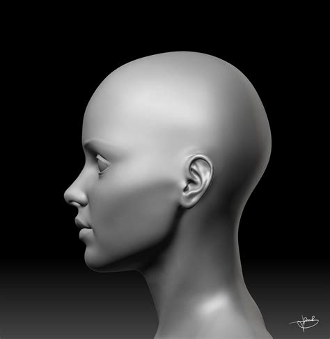 Female Anatomy Sculpture Behance