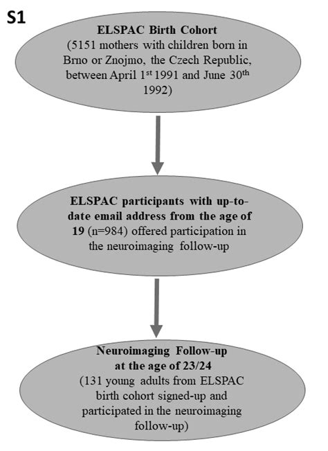 Temporally And Sex Specific Effects Of Maternal Perinatal Stress On