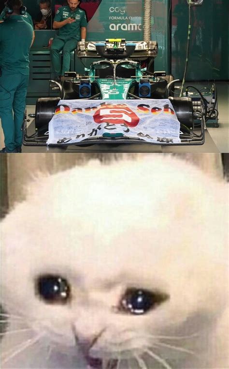 As You Can See Im Definitely Not Crying Right Now Rformuladank