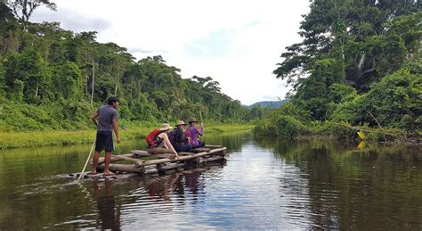 Tambopata National Reserve Full Guide Blog Cusco Journeys