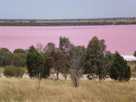 Pink Lake, Victoria, Australia Horsham, Pink Lake, Scenery Photos ...